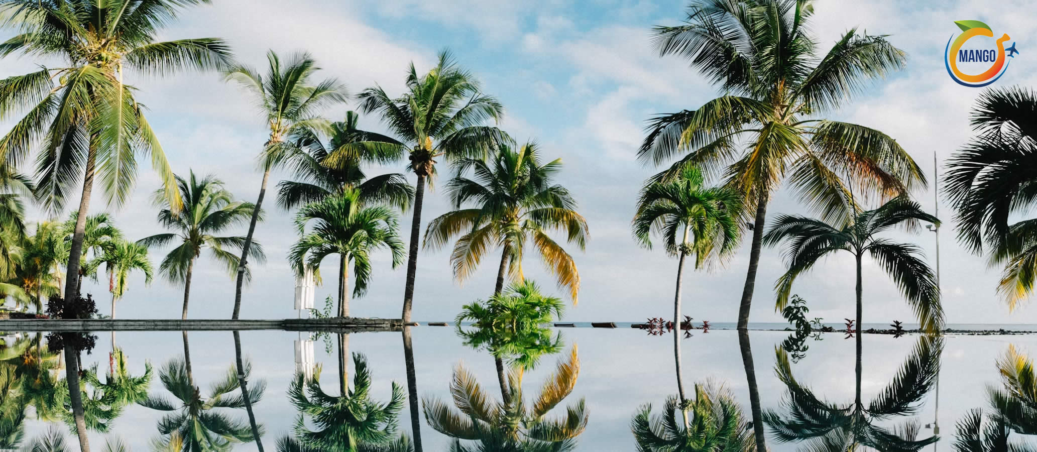 Palms-with-logo